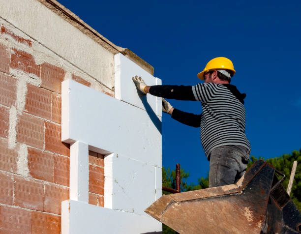 Best Home Insulation Services  in Breinigsville, PA