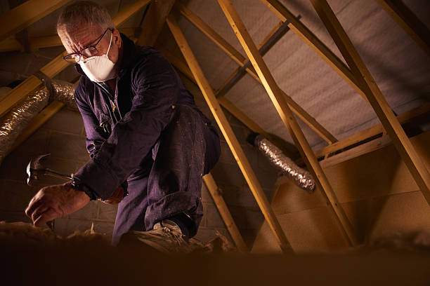Best Insulation Contractors for Homes  in Breinigsville, PA